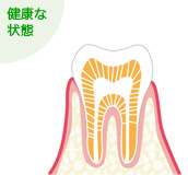 健康な状態